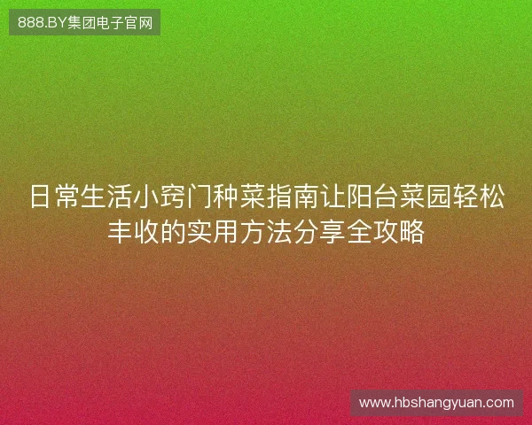 日常生活小窍门种菜指南让阳台菜园轻松丰收的实用方法分享全攻略